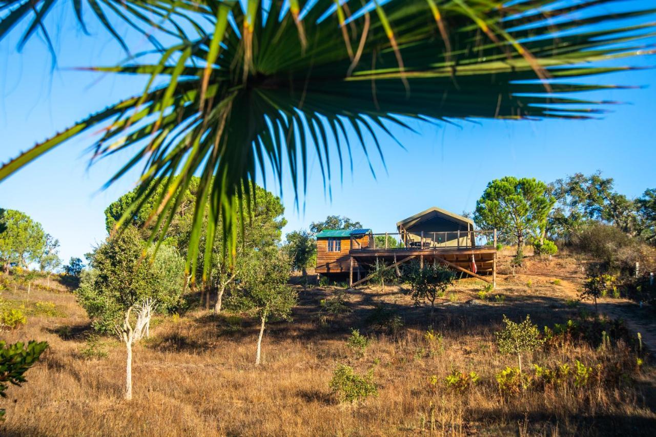 Maison d'hôtes Figueirinha Ecoturismo à Monte da Estrada Extérieur photo