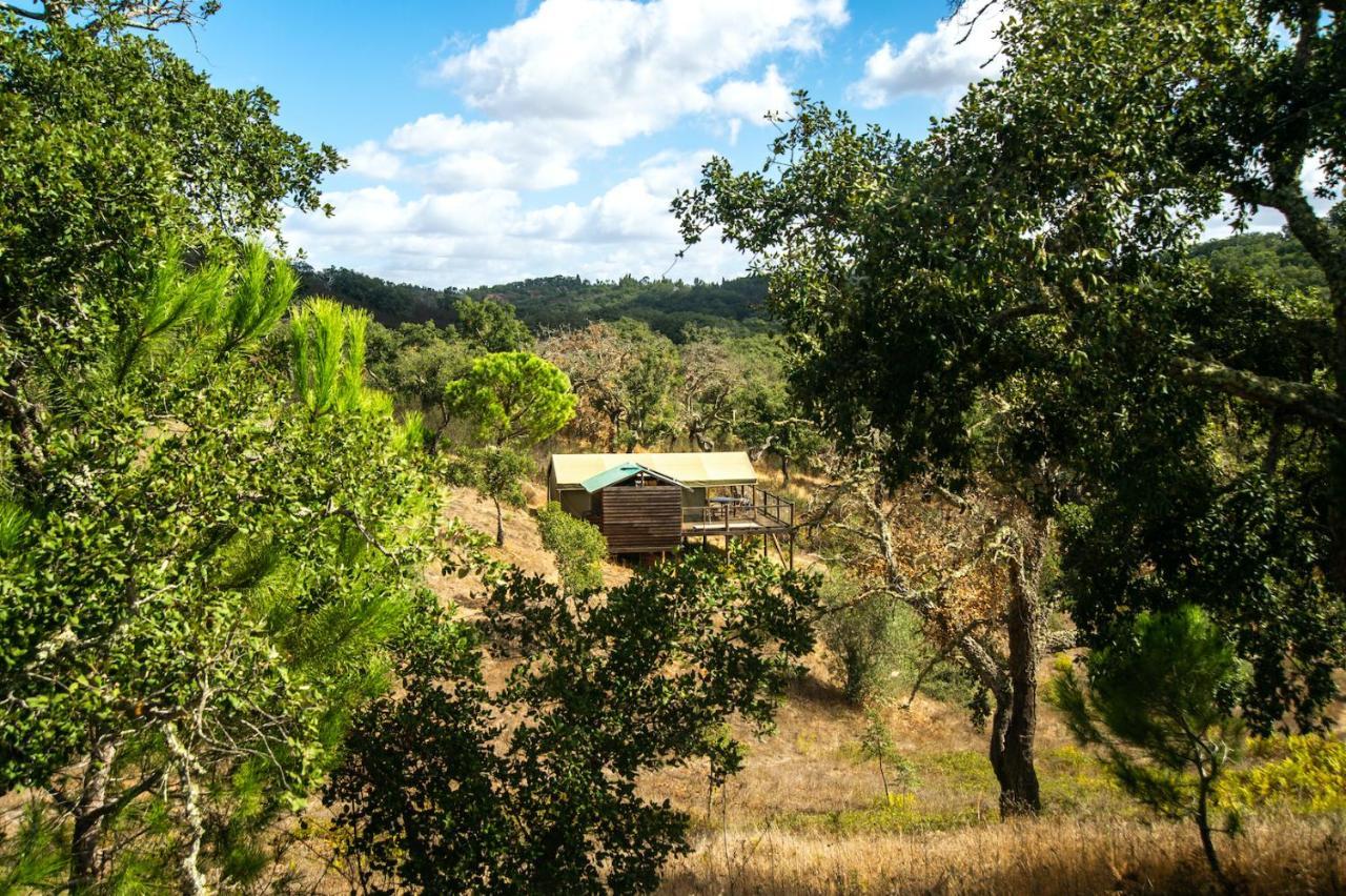 Maison d'hôtes Figueirinha Ecoturismo à Monte da Estrada Extérieur photo