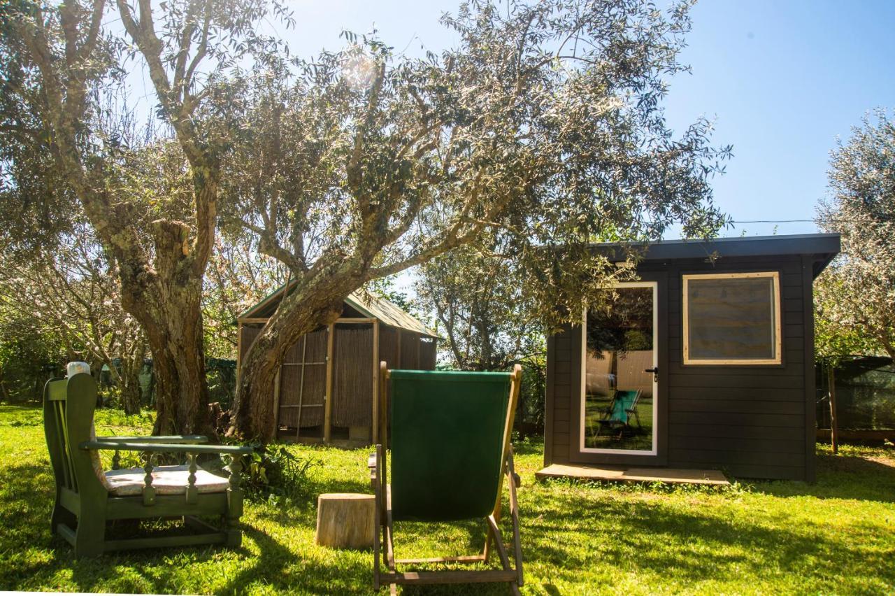Maison d'hôtes Figueirinha Ecoturismo à Monte da Estrada Extérieur photo