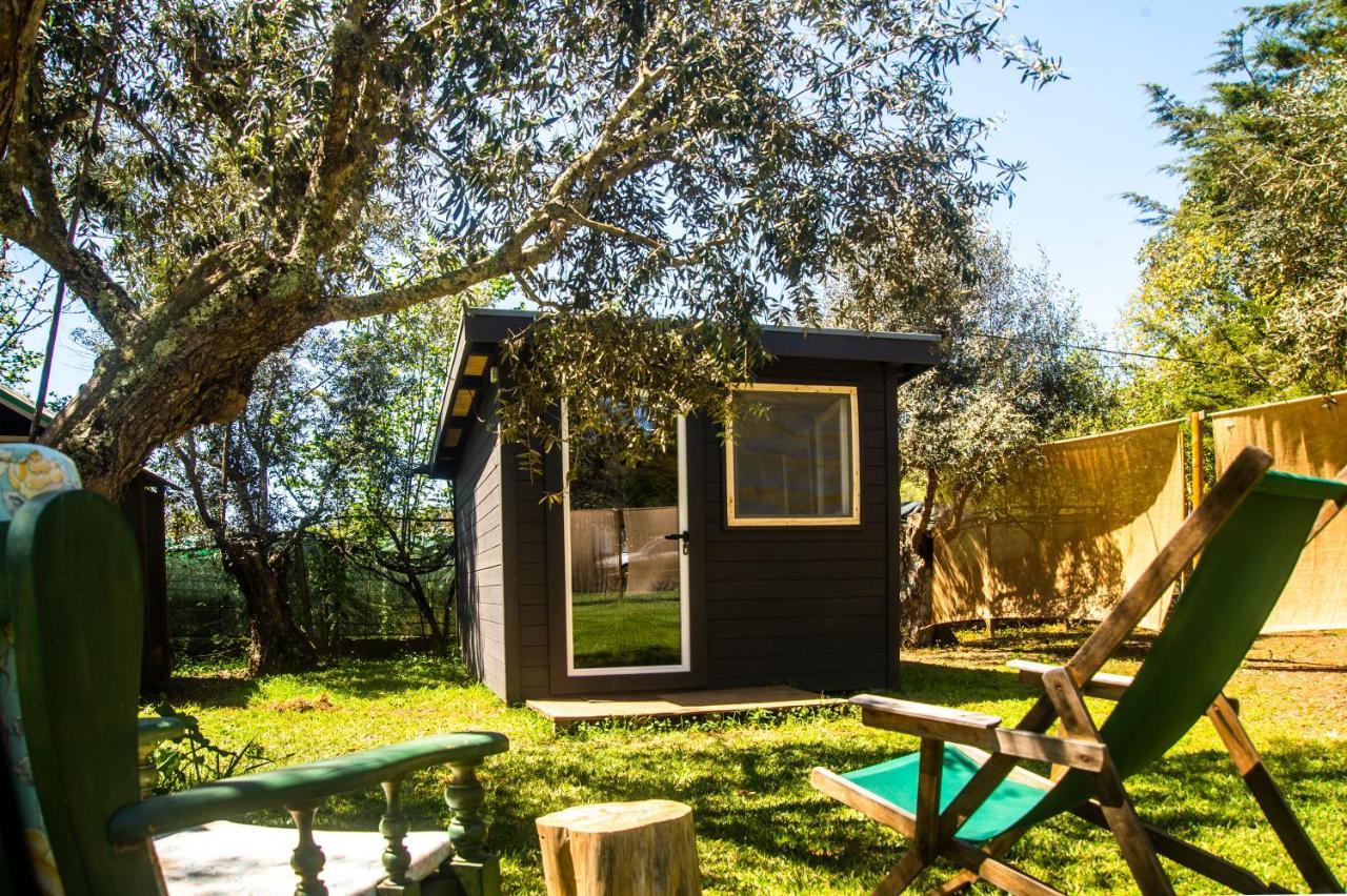 Maison d'hôtes Figueirinha Ecoturismo à Monte da Estrada Extérieur photo