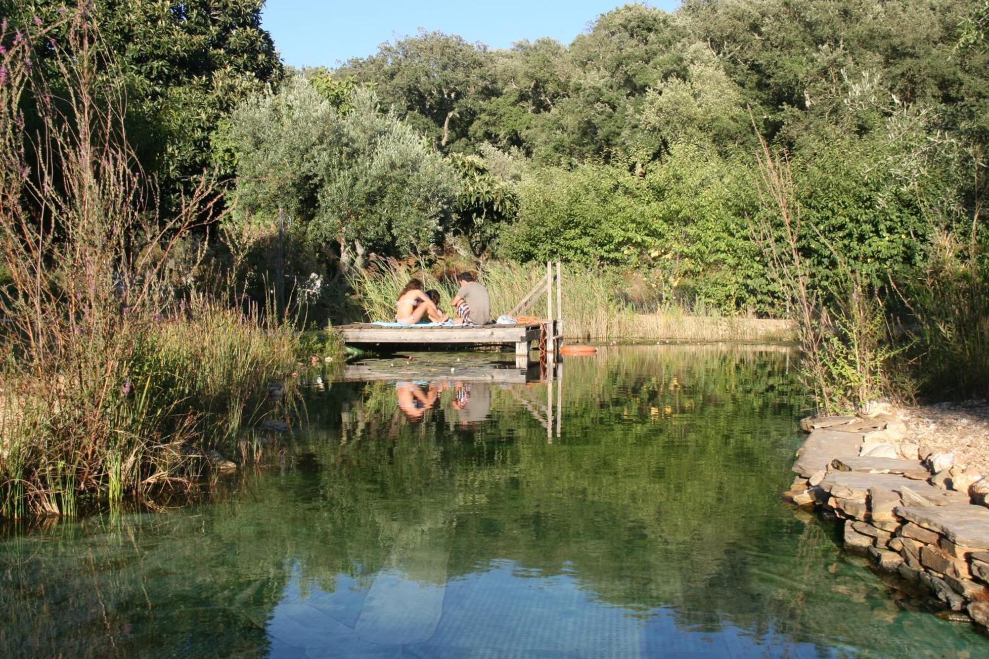 Maison d'hôtes Figueirinha Ecoturismo à Monte da Estrada Extérieur photo