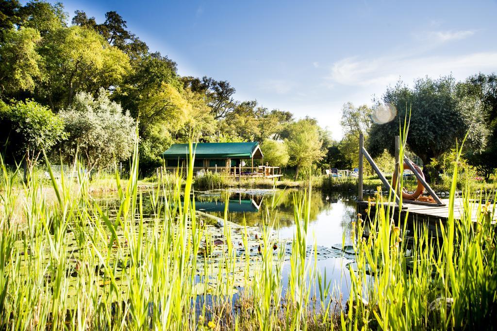 Maison d'hôtes Figueirinha Ecoturismo à Monte da Estrada Extérieur photo